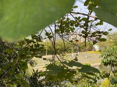 -神光山国家森林公园