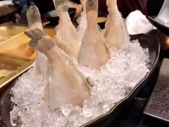 耗儿鱼-王家渡火锅(金宝汇店)