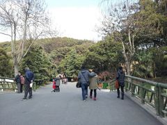 -上海佘山国家森林公园西佘山园