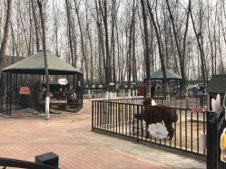 -蓝可可亲子乐园(北苑店)