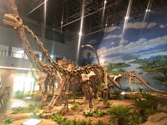 -自贡恐龙博物馆