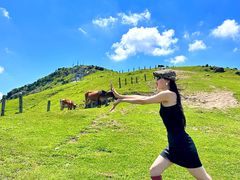 -大姆山草场