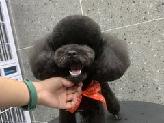 -宠物家(大兴旧宫店)