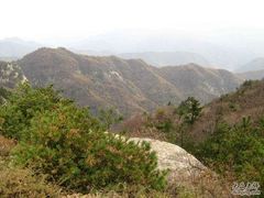 -王顺山国家森林公园