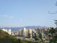 -金鸡山公园