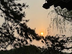 -二一九公园