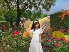 -人民公园(罗湖区)