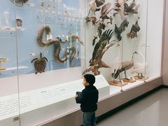 -国家自然博物馆