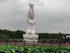 -荷塘月色湿地公园·向阳花洲