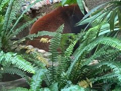 -石排湾郊野公园