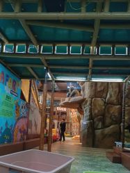 -卡通尼·Safari非洲探索乐园·生日会(金桥国际商业广场店)