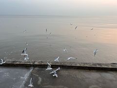 -东疆理想海岸沙滩景区