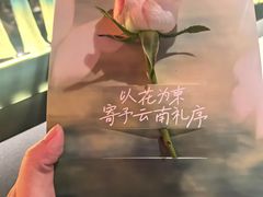 -芸山季·云南野生菌火锅(人民广场来福士店)