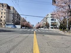 -永乐路-路侧停车场