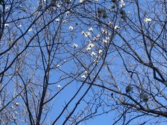 -上海市龙华烈士陵园