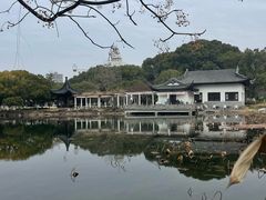 -范蠡湖公园