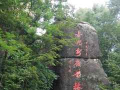 -汤旺河林海奇石景区