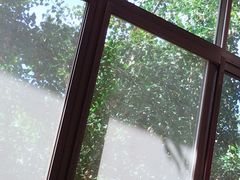 -芜湖新华联大白鲸海洋公园