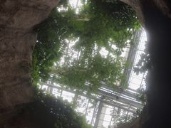 -南山植物园