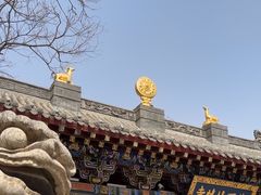 -护国法轮寺