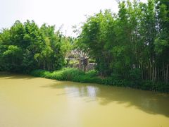 -苏家围·东江画廊旅游景区
