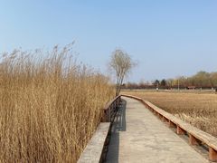 -绿堤公园