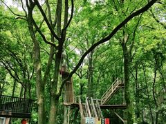 -WeLope紫金山探险公园
