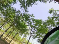 -马家湾湿地公园