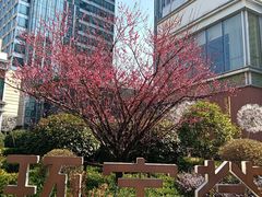 -中海环宇荟