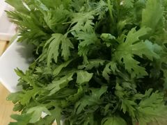 西洋菜-烹然四季椰子鸡火锅(团结湖总店)