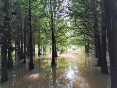 -捞渔河湿地公园