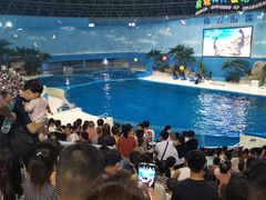 -泉城欧乐堡海洋极地世界
