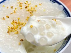 -周大娘牛乳(旧寨古村总店)