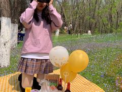 -长白岛森林公园