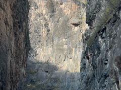 -王莽岭风景区