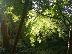 -上海吴淞炮台湾国家湿地公园