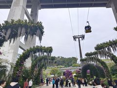 -云溪植物园