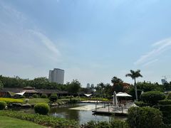-惠和石文化园