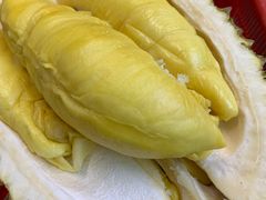 -101 Fresh Fruits Trading