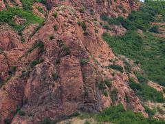 -红山国家森林公园