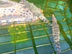 -石家庄市动物园