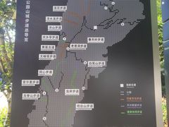 -南山植物园