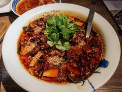 毛血旺-辛香汇(飞洲店)
