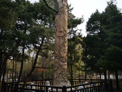 -北陵公园