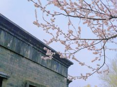-颐和园