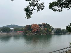 -蒋氏故居