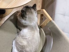 -白兔子密室(长寿路店)