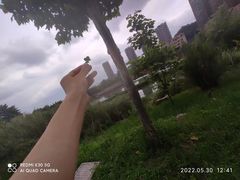 -贵阳市花溪国家城市湿地公园