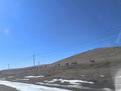 -塞罕坝国家级自然保护区