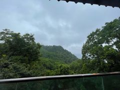 -南山植物园